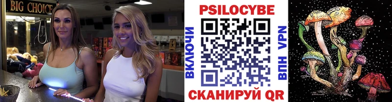 дарнет шоп  blacksprut зеркало  Галлюциногенные грибы Cubensis  Новосибирск 